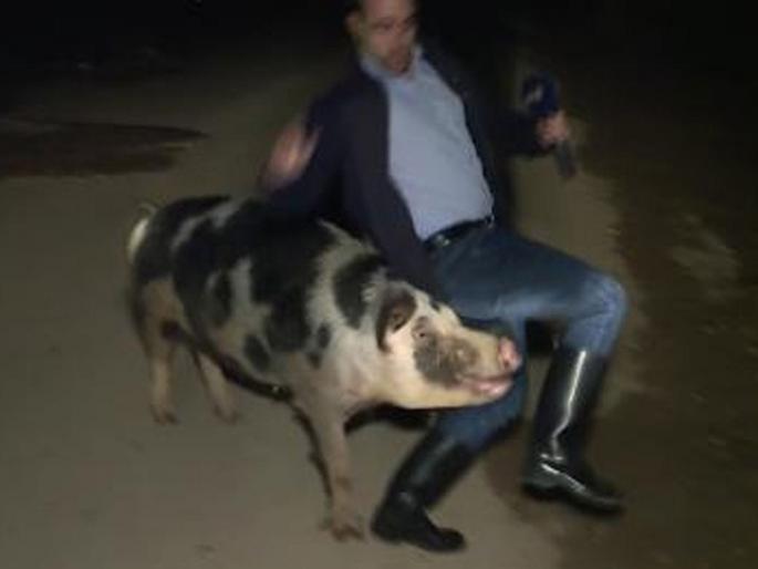 TV reporter chased by pig during live reporting in Greece viral video | Video : लाईव्ह रिपोर्टिंगवेळी पत्रकाराच्या मागे लागलं डुक्कर, अॅंकर हसून हसून झाले लोटपोट! TV reporter chased by pig during live reporting in Greece viral video | Video : लाईव्ह रिपोर्टिंगवेळी पत्रकाराच्या मागे लागलं डुक्कर, अॅंकर हसून हसून झाले लोटपोट!