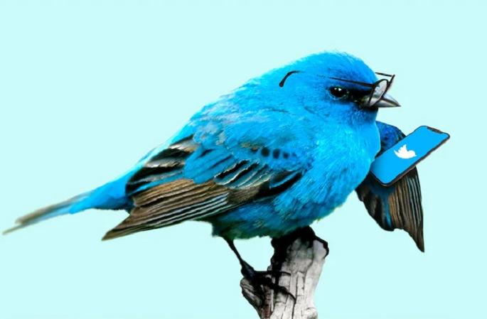twitter quote tweet feature is now official | Twitter मध्ये Quote Tweet नवीन फीचर; असा होणार याचा फायदा... twitter quote tweet feature is now official | Twitter मध्ये Quote Tweet नवीन फीचर; असा होणार याचा फायदा...