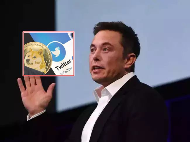 tesla elon musk twitter logo change lost 854646000000 rs in one day share lost money investment cryptocurrency networth | 'ब्लू बर्ड' उडताच एका झटक्यात उडाली मस्क यांची संपत्ती, बसला ₹८,५४,६४,६०,००,००० चा फटका