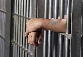 Two-month imprisonment for accused in molestation case | विनयभंगप्रकरणी आरोपीला दोन महिन्यांचा कारावास Two-month imprisonment for accused in molestation case | विनयभंगप्रकरणी आरोपीला दोन महिन्यांचा कारावास