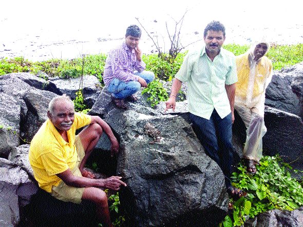 The truth of the Kateri 'Kand' has been made by 'Lokmat' | काटेरी ‘केंड’ची सत्यता ‘लोकमत’ने केली उघड The truth of the Kateri 'Kand' has been made by 'Lokmat' | काटेरी ‘केंड’ची सत्यता ‘लोकमत’ने केली उघड