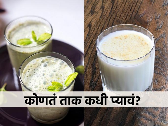 6 types of buttermilk with different health benefits, how to make different types of buttermilk as per ayurveda, ayurvedic method of making buttermilk | ताकाचेही असतात ६ प्रकार, प्रत्येक ताकाचे फायदे वेगळे! तुम्ही नक्की कोणतं ताक पिता? तपासा लगेच..