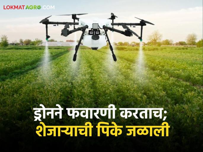 Drone Spraying Drone sprayed the farm and burned the neighbor's okra! | Drone Spraying ड्रोनने शेती फवारली अन् शेजाऱ्याची भेंडी जळाली! Drone Spraying Drone sprayed the farm and burned the neighbor's okra! | Drone Spraying ड्रोनने शेती फवारली अन् शेजाऱ्याची भेंडी जळाली!