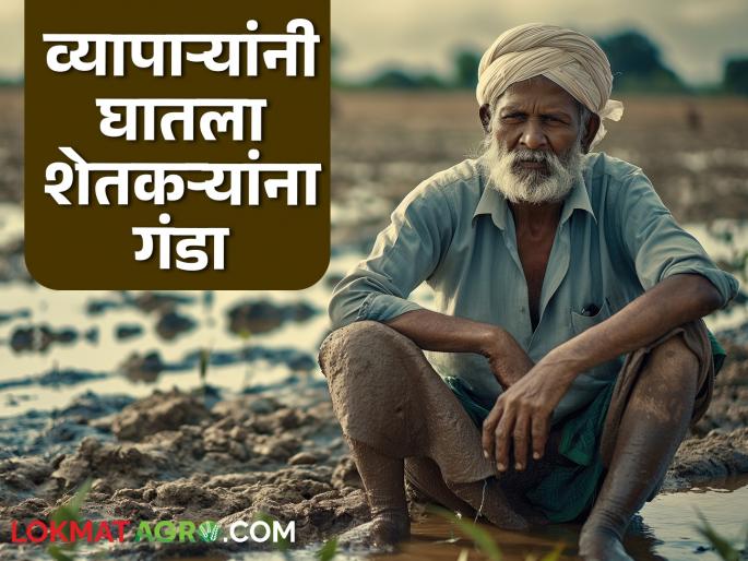 Five businessmen together duped farmers of Rs 2 crore; Read what the case is about | पाच व्यापाऱ्यांनी मिळून शेतकऱ्यांना घातला तब्बल दोन कोटी रुपयांचा गंडा; वाचा काय आहे प्रकरण