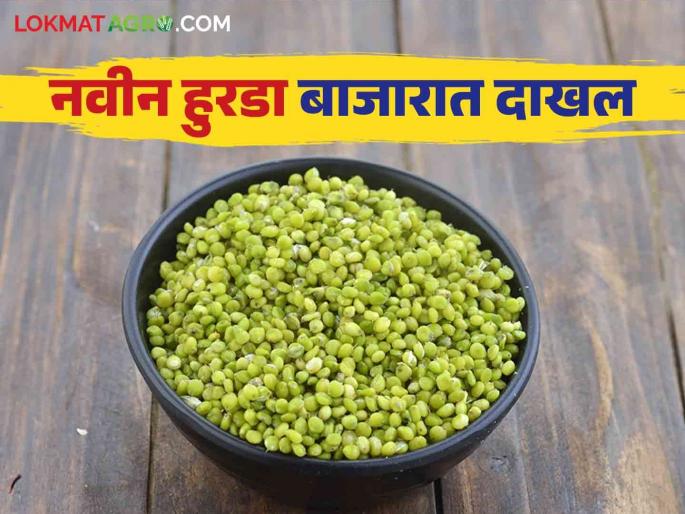 Market Update: What's happening in the market from agricultural commodities to gold-silver rates; Read the detailed report | Market Update : बाजारात शेतमालापासून सोने-चांदीच्या दरांपर्यंत काय आहे स्थिती; वाचा सविस्तर वृत्त Market Update: What's happening in the market from agricultural commodities to gold-silver rates; Read the detailed report | Market Update : बाजारात शेतमालापासून सोने-चांदीच्या दरांपर्यंत काय आहे स्थिती; वाचा सविस्तर वृत्त