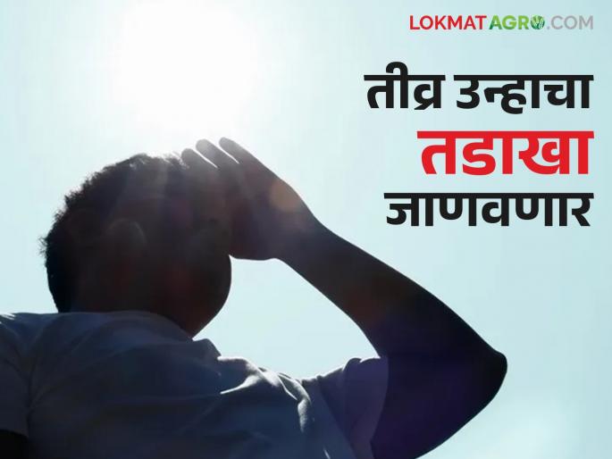 Heat wave warning for 'these' cities in the state; Read what weather experts are saying | राज्यातील 'या' शहरांना उष्णतेच्या लाटेचा इशारा; वाचा काय सांगताहेत हवामान तज्ञ Heat wave warning for 'these' cities in the state; Read what weather experts are saying | राज्यातील 'या' शहरांना उष्णतेच्या लाटेचा इशारा; वाचा काय सांगताहेत हवामान तज्ञ