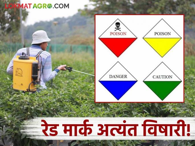 Don't do it while spraying, carelessness can be fatal; Important advice from the Agriculture Department | फवारणीच्या वेळी करू नका हलगर्जीपणा बनू शकतो जीवघेणा; कृषी विभागाचा महत्त्वाचा सल्ला Don't do it while spraying, carelessness can be fatal; Important advice from the Agriculture Department | फवारणीच्या वेळी करू नका हलगर्जीपणा बनू शकतो जीवघेणा; कृषी विभागाचा महत्त्वाचा सल्ला