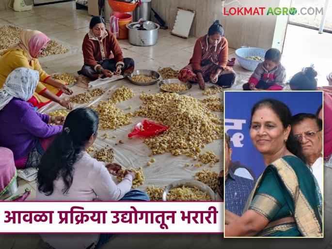 Success Story: Strong support for the amla processing industry; Sunita Tai, who set up the industry through a self-help group, became a millionaire. | Success Story : आवळा प्रक्रिया उद्योगाची जोरदार साथ; बचत गटामार्फत उद्योग उभारणाऱ्या सुनीता ताई ठरल्या लखपती दीदी Success Story: Strong support for the amla processing industry; Sunita Tai, who set up the industry through a self-help group, became a millionaire. | Success Story : आवळा प्रक्रिया उद्योगाची जोरदार साथ; बचत गटामार्फत उद्योग उभारणाऱ्या सुनीता ताई ठरल्या लखपती दीदी