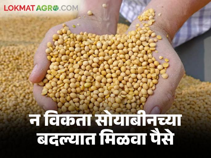Shetmal Taran Yojana : Don't sell soybeans if price is low; Get a loan under agricultural mortgage | Shetmal Taran Yojana : दर कमी आहे तर सोयाबीन विकू नका; शेतमाल तारण अंतर्गत कर्ज मिळवा Shetmal Taran Yojana : Don't sell soybeans if price is low; Get a loan under agricultural mortgage | Shetmal Taran Yojana : दर कमी आहे तर सोयाबीन विकू नका; शेतमाल तारण अंतर्गत कर्ज मिळवा