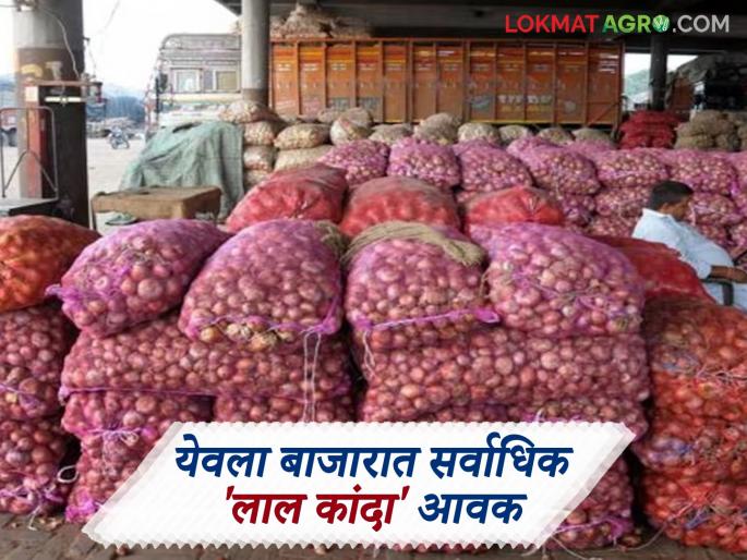 Kanda Bazaar Bhav: Onion price movement in Pune market; Read today's onion market price | Kanda Bajar Bhav : पुणे बाजारात कांदा दराची चलती; वाचा आजचे कांदा बाजारभाव