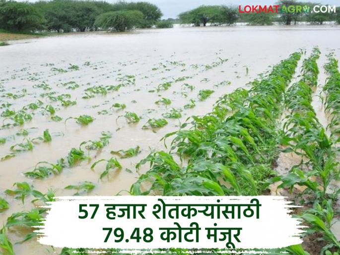 Farmers affected by heavy rains will get assistance directly to their accounts; Work on uploading farmers' lists on 'e-Panchnama portal' underway | अतिवृष्टीग्रस्त शेतकऱ्यांना थेट खात्यावर मिळणार मदत; शेतकऱ्यांच्या याद्या 'ई-पंचनामा पोर्टल'वर 'अपलोड'चे काम सुरू Farmers affected by heavy rains will get assistance directly to their accounts; Work on uploading farmers' lists on 'e-Panchnama portal' underway | अतिवृष्टीग्रस्त शेतकऱ्यांना थेट खात्यावर मिळणार मदत; शेतकऱ्यांच्या याद्या 'ई-पंचनामा पोर्टल'वर 'अपलोड'चे काम सुरू