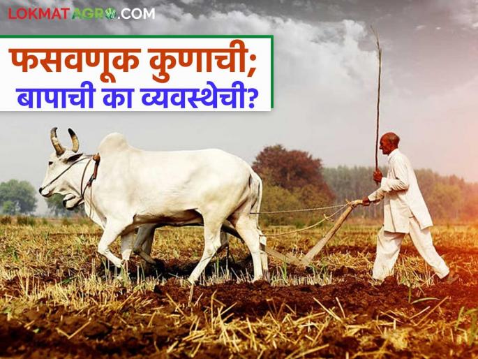 Is the farmers being robbed by the farmers themselves? The suffering of the agricultural land, desperate before the system | शेतकऱ्यांना लुटतोय शेतकऱ्यांचाच लेक? व्यवस्थेच्या पुढे हतबल शेतीमातीतील व्यथा 