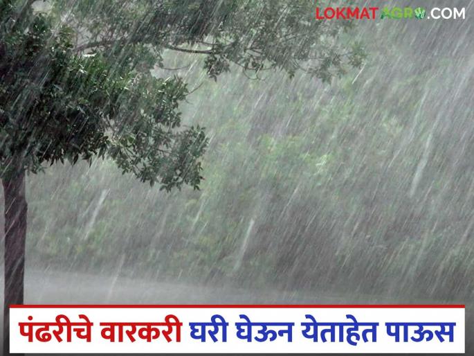 Heavy rain warning issued for 'this' part of the state in the next 24 hours; Citizens urged to remain alert | राज्याच्या 'या' विभागाला पुढील २४ तासांत जोरदार पावसाचा इशारा; नागरिकांनी सतर्क राहण्याचे आवाहन