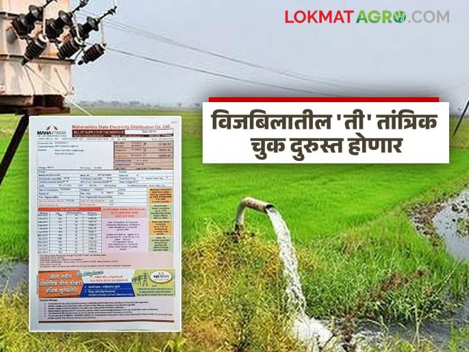 Farmers' hopes of electricity bill waiver revived; 'that' technical error in electricity bill will be corrected | शेतकऱ्यांच्या वीजबिल माफीच्या आशा झाल्या पल्लवित; वीजबिलातील 'ती' तांत्रिक चुक दुरुस्त होणार Farmers' hopes of electricity bill waiver revived; 'that' technical error in electricity bill will be corrected | शेतकऱ्यांच्या वीजबिल माफीच्या आशा झाल्या पल्लवित; वीजबिलातील 'ती' तांत्रिक चुक दुरुस्त होणार
