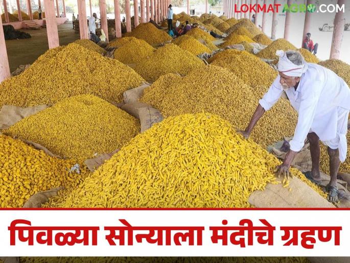 Turmeric from Telangana, Andhra Pradesh enters the market for sale, creating a slowdown in the market | तेलंगणा, आंध्र प्रदेशातील हळद विक्रीसाठी दाखल झाल्याने बाजारात मंदीचे सावट