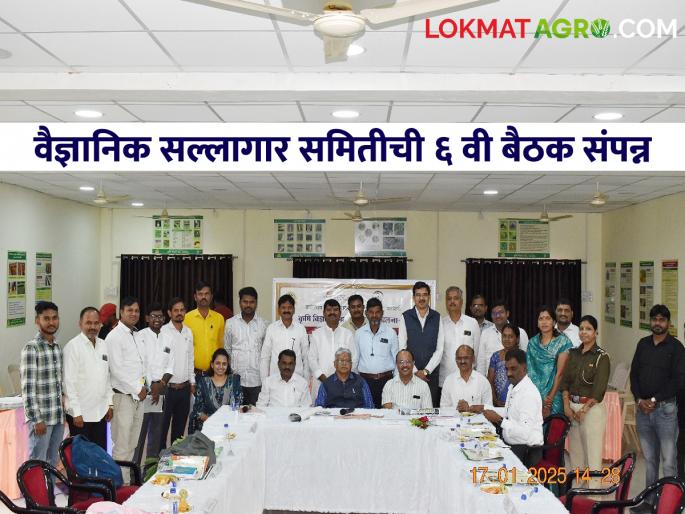 Marathwada Agricultural University is always committed to providing new varieties and technologies to farmers - Waghmare | मराठवाडा कृषी विद्यापीठ हे नेहमीच शेतकऱ्याप्रती नवनवीन वाण आणि तंत्रज्ञान देण्याकरिता कटीबद्ध - वाघमारे Marathwada Agricultural University is always committed to providing new varieties and technologies to farmers - Waghmare | मराठवाडा कृषी विद्यापीठ हे नेहमीच शेतकऱ्याप्रती नवनवीन वाण आणि तंत्रज्ञान देण्याकरिता कटीबद्ध - वाघमारे