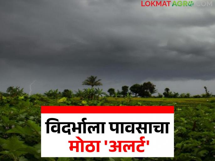 Heavy rain 'alert' in the sub-capital; Read which parts of Vidarbha will receive the most rain | उपराजधानीत मुसळधार पावसाचा 'अलर्ट'; वाचा विदर्भातील कोणत्या भागात कोसळणार सर्वाधिक पाऊस Heavy rain 'alert' in the sub-capital; Read which parts of Vidarbha will receive the most rain | उपराजधानीत मुसळधार पावसाचा 'अलर्ट'; वाचा विदर्भातील कोणत्या भागात कोसळणार सर्वाधिक पाऊस