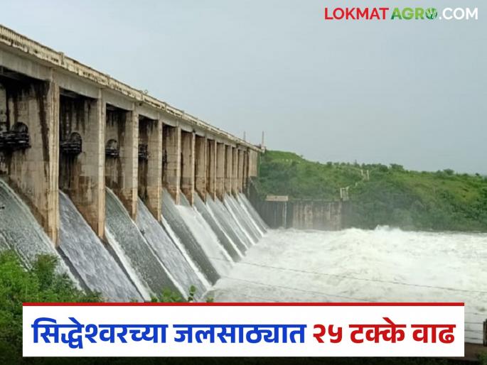 Siddheshwar's water storage increased by 25 percent in four days; Live water storage level reached 51 percent | चार दिवसांत सिद्धेश्वरच्या जलसाठ्यात २५ टक्के वाढ; जिवंत पाणीसाठ्याची पातळी पोहोचली ५१ टक्क्यांवर Siddheshwar's water storage increased by 25 percent in four days; Live water storage level reached 51 percent | चार दिवसांत सिद्धेश्वरच्या जलसाठ्यात २५ टक्के वाढ; जिवंत पाणीसाठ्याची पातळी पोहोचली ५१ टक्क्यांवर