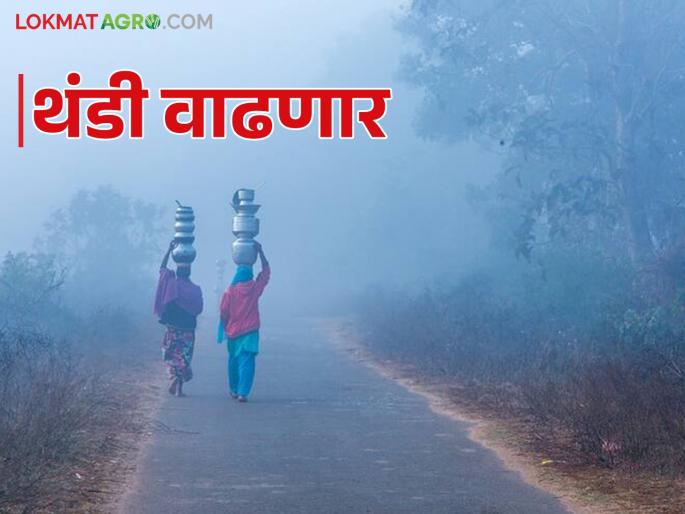 Weather update: Cold wave will intensify as maximum and minimum temperatures drop | Weather update : कमाल व किमान तापमानात घट होऊन थंडीचा जोर वाढणार Weather update: Cold wave will intensify as maximum and minimum temperatures drop | Weather update : कमाल व किमान तापमानात घट होऊन थंडीचा जोर वाढणार