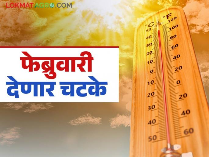 Heat Stroke: February will give a shock to the people of Vidarbha; The temperature will reach 37 degrees | Heat Wave Alert: विदर्भवासियांना फेब्रुवारी देणार चटके; पारा ३७ अंशावर Heat Stroke: February will give a shock to the people of Vidarbha; The temperature will reach 37 degrees | Heat Wave Alert: विदर्भवासियांना फेब्रुवारी देणार चटके; पारा ३७ अंशावर