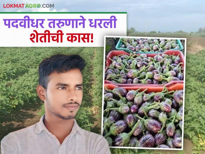A 22-year-old graduate from Tadkalas earned more income from vegetable production than from a job. | ताडकळस येथील २२ वर्षीय पदवीधर तरुणाने भाजीपाला उत्पादनातून मिळविले नोकरीपेक्षा जास्त उत्पन्न A 22-year-old graduate from Tadkalas earned more income from vegetable production than from a job. | ताडकळस येथील २२ वर्षीय पदवीधर तरुणाने भाजीपाला उत्पादनातून मिळविले नोकरीपेक्षा जास्त उत्पन्न