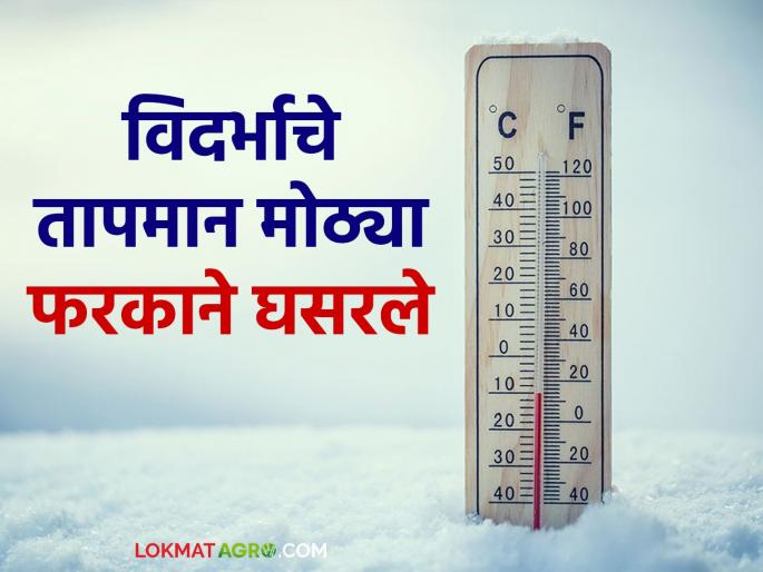 Contrary to expectations, the mercury dropped; coldness increased in Vidarbha | अंदाजाच्या विपरीत पारा घसरला; विदर्भात थंडी वाढली Contrary to expectations, the mercury dropped; coldness increased in Vidarbha | अंदाजाच्या विपरीत पारा घसरला; विदर्भात थंडी वाढली