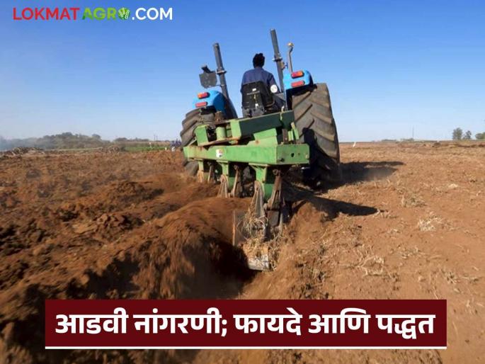 Use this method while ploughing the land this year; Agriculture will benefit by increasing production | यंदा जमिनीची नांगरणी करतांना वापरा 'ही' पद्धत; उत्पादन वाढून शेतीला होणार फायदे Use this method while ploughing the land this year; Agriculture will benefit by increasing production | यंदा जमिनीची नांगरणी करतांना वापरा 'ही' पद्धत; उत्पादन वाढून शेतीला होणार फायदे