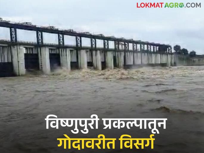 Vishnupuri project filled to full capacity in four days; Warning issued to villages along the riverbanks as discharge begins | चारच दिवसात विष्णुपुरी प्रकल्प पूर्ण क्षमतेने भरला; विसर्ग सुरू केल्याने नदीकाठच्या गावांना सतर्कतेचा इशारा