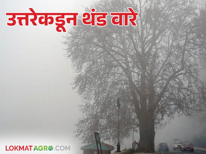 Weather Update: Cold winds from the north; Cold weather has increased in rural areas | Weather Update : उत्तरेकडून थंड वारे; गारठा वाढला ग्रामीण भागात कडाका