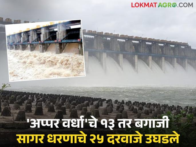 13 gates of Upper Wardha Dam and 25 gates of Bagaji Sagar Dam opened; Large discharge into Wardha river basin begins | अप्पर वर्धा धरणाची १३ तर बगाजी सागर धरणाचे २५ दरवाजे उघडले; वर्धा नदीपात्रात मोठा विसर्ग सुरू