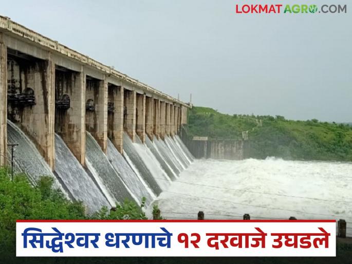 12 gates of Siddheshwar Dam opened; 13 thousand cusecs of water is being released into the Purna river basin | सिद्धेश्वर धरणाचे १२ दरवाजे उघडले; पूर्णा नदीपात्रात १३ हजार क्युसेक पाण्याचा होतोय विसर्ग