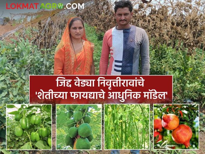 A D.Ed holder was fired by stubbornness and his loss-making farm became profitable; Read this inspiring story of Amode's Nivruttirao | जिद्दीला पेटला डी.एड धारक अन् तोट्याची शेती झाली फायद्याची; अमोदेच्या निवृत्तीरावांची वाचा 'ही' प्रेरणादायी कहाणी