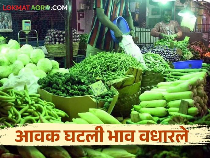 Vegetable Market Rate : Inflow decreased due to loss of vegetables due to rain; Prices increased | Vegetable Market Rate : पावसामुळे भाजीपाल्याचे नुकसान झाल्याने आवक घटली; भाव वधारले Vegetable Market Rate : Inflow decreased due to loss of vegetables due to rain; Prices increased | Vegetable Market Rate : पावसामुळे भाजीपाल्याचे नुकसान झाल्याने आवक घटली; भाव वधारले