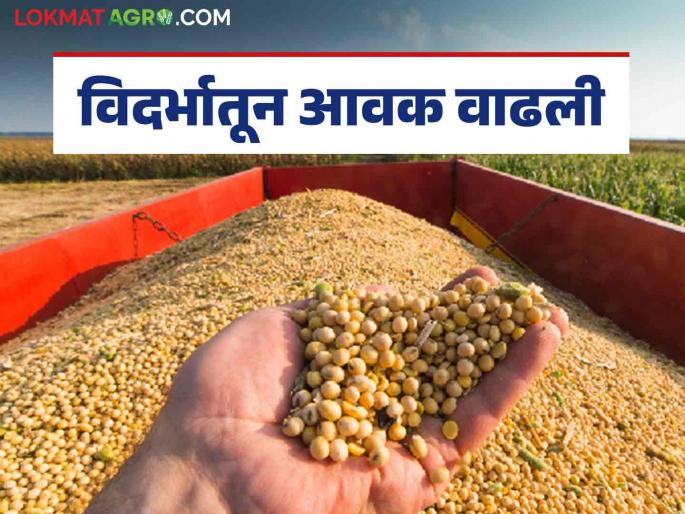 Soybean Market Rate: Where to get the highest rate; Read today's soybean market rate | Soybean Market Rate : कुठे मिळतोय सर्वाधिक दर; वाचा आजचे सोयाबीन बाजारभाव Soybean Market Rate: Where to get the highest rate; Read today's soybean market rate | Soybean Market Rate : कुठे मिळतोय सर्वाधिक दर; वाचा आजचे सोयाबीन बाजारभाव