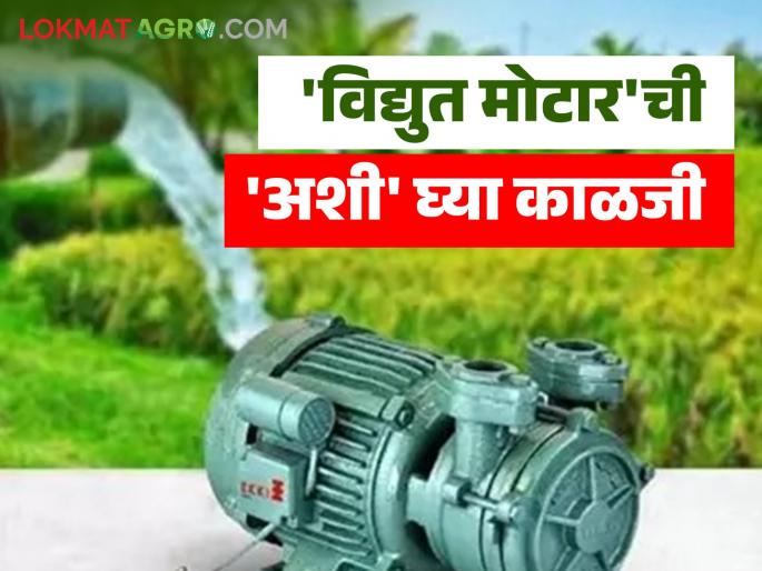 Does your irrigation motor also burn out frequently? Then take 'this' solution and extend the life of the motor | तुमची सिंचन मोटार सुद्धा वारंवार जळते का? मग 'हे' उपाय करा आणि मोटारचे आयुष्य वाढवा Does your irrigation motor also burn out frequently? Then take 'this' solution and extend the life of the motor | तुमची सिंचन मोटार सुद्धा वारंवार जळते का? मग 'हे' उपाय करा आणि मोटारचे आयुष्य वाढवा