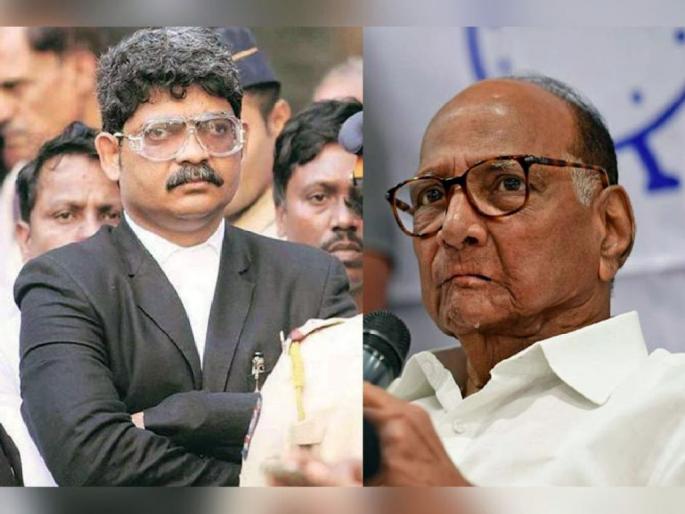 Sharad Pawar is not a senior, but an elderly leader, Criticism of Gunaratna Sadavarte | शरद पवार हे ज्येष्ठ नाही, तर वयोवृद्ध नेते; गुणरत्न सदावर्ते यांची टीका 