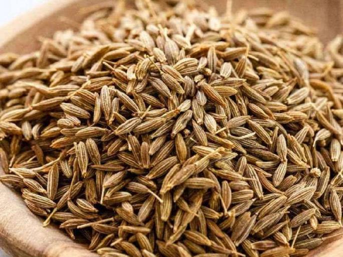 Now threshing will be expensive, supply of cumin is limited due to rainy weather | आता जिऱ्याला मिळणार चांगला भाव, पावसाळी वातावरणामुळे जिऱ्याचा पुरवठा मर्यादित Now threshing will be expensive, supply of cumin is limited due to rainy weather | आता जिऱ्याला मिळणार चांगला भाव, पावसाळी वातावरणामुळे जिऱ्याचा पुरवठा मर्यादित