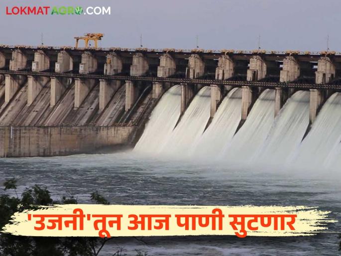 Decision to release two water cycle from Ujani dam for irrigation; How long will the release continue? | सिंचनासाठी उजनीतून दोन पाणी पाळ्या सोडण्याचा निर्णय; किती दिवस सुरू राहणार विसर्ग? Decision to release two water cycle from Ujani dam for irrigation; How long will the release continue? | सिंचनासाठी उजनीतून दोन पाणी पाळ्या सोडण्याचा निर्णय; किती दिवस सुरू राहणार विसर्ग?