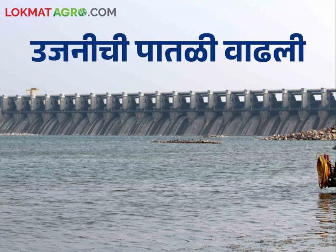 Ujani Dam Ujani increased by 8 percent, how much TMC water came | Ujani Dam उजनी ८ टक्क्यांनी वाढले, किती टीएमसी पाणी आले Ujani Dam Ujani increased by 8 percent, how much TMC water came | Ujani Dam उजनी ८ टक्क्यांनी वाढले, किती टीएमसी पाणी आले