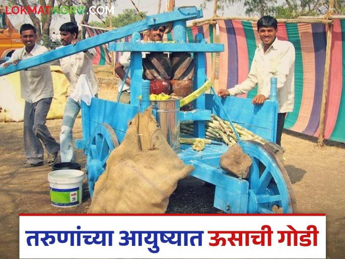 Latest News farmer Success Story 32 youths from pahungaon village of bhandara district started Raswanti usacha ras business | Farmer Success Story : उच्चशिक्षित पण नोकरी नाही, आज बारा गावांत रसवंतीचा यशस्वी उद्योग, वाचा सविस्तर  Latest News farmer Success Story 32 youths from pahungaon village of bhandara district started Raswanti usacha ras business | Farmer Success Story : उच्चशिक्षित पण नोकरी नाही, आज बारा गावांत रसवंतीचा यशस्वी उद्योग, वाचा सविस्तर