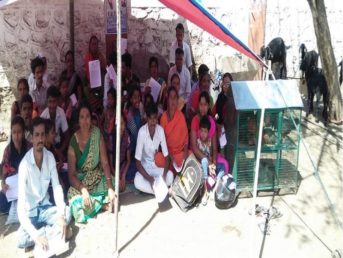 'Investigate false cases'; Fasting in front of District Collectorate of Cow Pardhi society | 'खोट्या गुन्ह्यांची चौकशी करा'; गाय पारधी समाज बांधवांचे जिल्हाधिकारी कार्यालयासमोर उपोषण  'Investigate false cases'; Fasting in front of District Collectorate of Cow Pardhi society | 'खोट्या गुन्ह्यांची चौकशी करा'; गाय पारधी समाज बांधवांचे जिल्हाधिकारी कार्यालयासमोर उपोषण