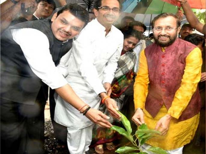 uddhav thackeray government orders inquiry of tree plantation program done by the devendra fadnavis government | फडणवीसांच्या काळातील वृक्षलागवड कितपत यशस्वी?; ठाकरे सरकार करणार चौकशी uddhav thackeray government orders inquiry of tree plantation program done by the devendra fadnavis government | फडणवीसांच्या काळातील वृक्षलागवड कितपत यशस्वी?; ठाकरे सरकार करणार चौकशी