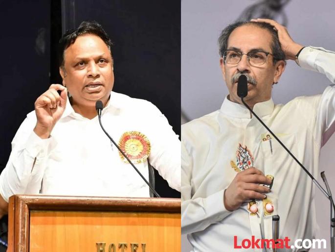 Uddhav Thackeray is the king of land scams; Ashish Shelar makes serious allegations | उद्धव ठाकरे जमीन घोटाळ्यांचे बादशाह आहेत; आशिष शेलारांचा गंभीर आरोप Uddhav Thackeray is the king of land scams; Ashish Shelar makes serious allegations | उद्धव ठाकरे जमीन घोटाळ्यांचे बादशाह आहेत; आशिष शेलारांचा गंभीर आरोप