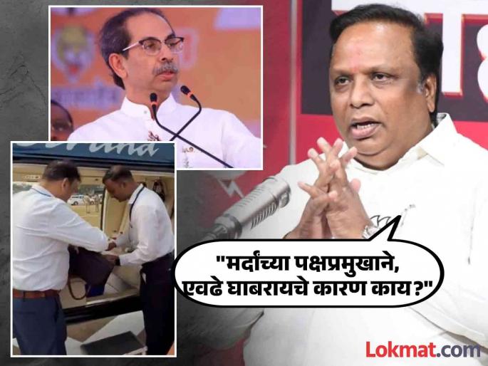 Ashish Shelar has asked question that Why is Uddhav Thackeray so scared when the election officials check the bags? | "मुख्यमंत्री असताना केवढे केले होते अनधिकृत चाळे", आशिष शेलारांचा ठाकरेंवर पलटवार Ashish Shelar has asked question that Why is Uddhav Thackeray so scared when the election officials check the bags? | "मुख्यमंत्री असताना केवढे केले होते अनधिकृत चाळे", आशिष शेलारांचा ठाकरेंवर पलटवार