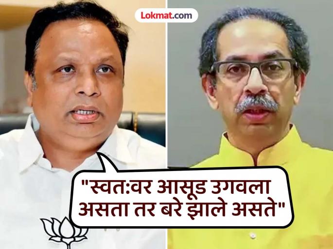 Uddhavji, keep your cool, after the defeat in the Municipal Corporation, your..."; Shelar's reply to Thackeray | "उद्धवजी, हंबरडा राखून ठेवा, महापालिकेतील पराभवानंतर तुमच्या..."; शेलारांचे ठाकरेंना उत्तर Uddhavji, keep your cool, after the defeat in the Municipal Corporation, your..."; Shelar's reply to Thackeray | "उद्धवजी, हंबरडा राखून ठेवा, महापालिकेतील पराभवानंतर तुमच्या..."; शेलारांचे ठाकरेंना उत्तर