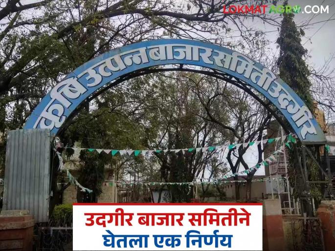 Udgir bajar samiti: latest news Udgir Samiti took a bold decision; Farmers will benefit Read in detail | Udgir bajar samiti: उदगीर समितीने घेतला धाडसी निर्णय; शेतकऱ्यांना होणार फायदा वाचा सविस्तर