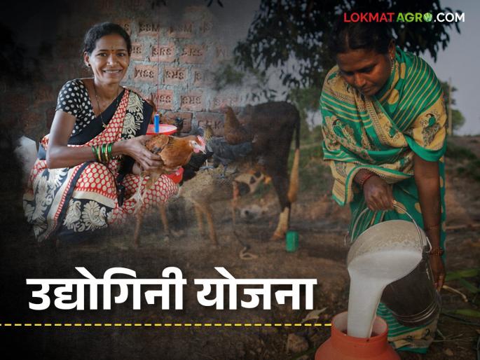 Interest-free loans up to three lakhs for women for agricultural allied businesses, how to apply | शेती आधारित या व्यवसायांसाठी महिलांना तीन लाखांपर्यंत बिनव्याजी कर्ज, कसा कराल अर्ज Interest-free loans up to three lakhs for women for agricultural allied businesses, how to apply | शेती आधारित या व्यवसायांसाठी महिलांना तीन लाखांपर्यंत बिनव्याजी कर्ज, कसा कराल अर्ज