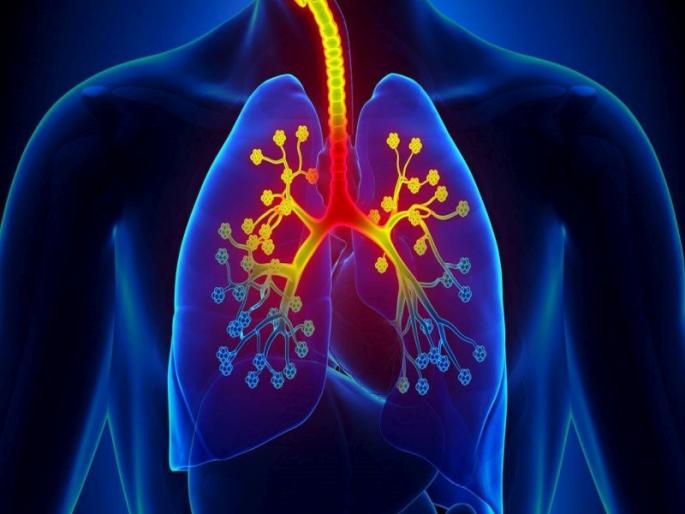 92 percent of patients go to the doctor only when their asthma flares up; 34 percent of patients have severe asthma | ९२ टक्के रुग्ण दमा वाढल्यावरच डॉक्टरांकडे जातात; ३४ टक्के रुग्णांमध्ये दम्याचा विकार तीव्र   92 percent of patients go to the doctor only when their asthma flares up; 34 percent of patients have severe asthma | ९२ टक्के रुग्ण दमा वाढल्यावरच डॉक्टरांकडे जातात; ३४ टक्के रुग्णांमध्ये दम्याचा विकार तीव्र