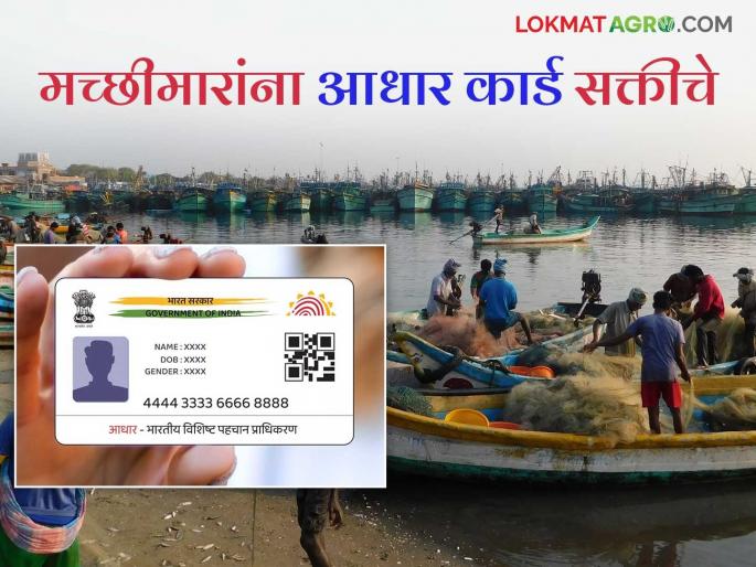 A fisherman going for fishing must carry a QR coded Aadhaar card | मासेमारीसाठी जाणाऱ्या खलाशाने क्यूआर कोडेड आधारकार्ड जवळ बाळगणे आवश्यक A fisherman going for fishing must carry a QR coded Aadhaar card | मासेमारीसाठी जाणाऱ्या खलाशाने क्यूआर कोडेड आधारकार्ड जवळ बाळगणे आवश्यक