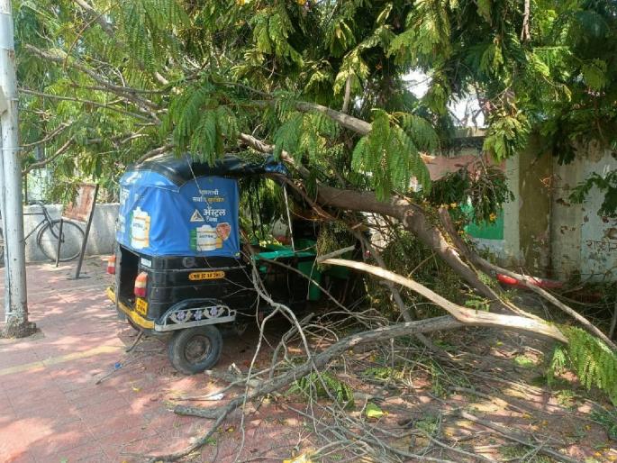 Torrential rains lash Amravati city; | वादळी पावसाने अमरावती शहराला झोडपले; ५० वर झाडे कोसळली, महायुतीचे प्रचार कार्यालय झाले भुईसपाट Torrential rains lash Amravati city; | वादळी पावसाने अमरावती शहराला झोडपले; ५० वर झाडे कोसळली, महायुतीचे प्रचार कार्यालय झाले भुईसपाट